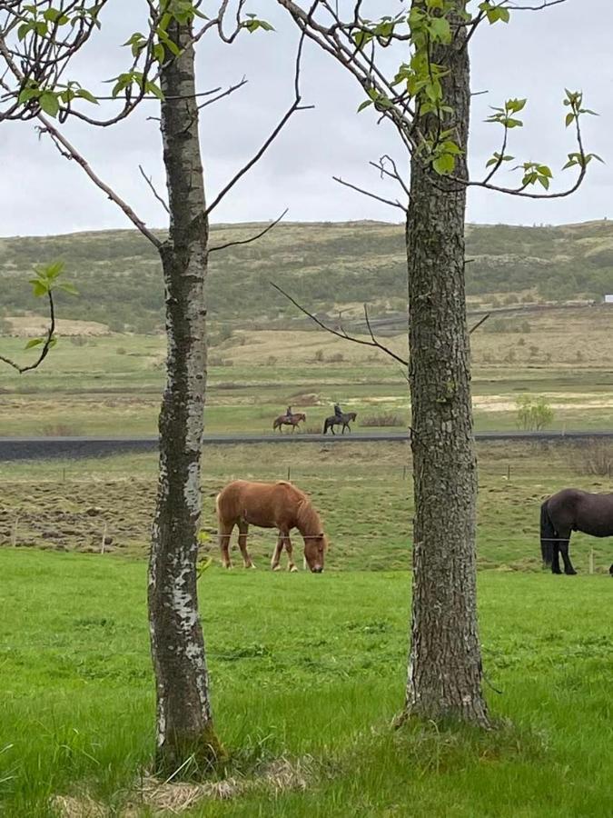 Villa Golden Circle Private Farmhouse With Hot Tub Selfoss Exterior foto